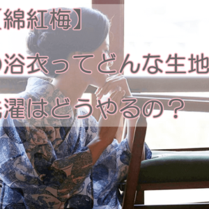 竺仙の浴衣美人の画像