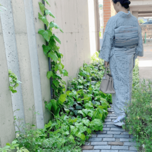 コーディネート山岡古都小紋